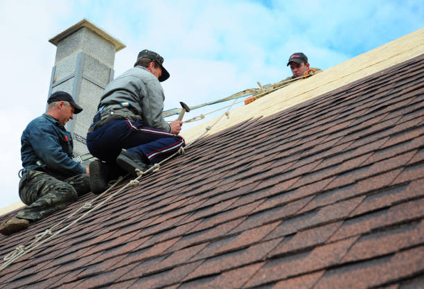 Best Gutter Installation and Roofing  in Universal City, TX